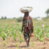 En flicka som går i halvöknen i landet Tchad.