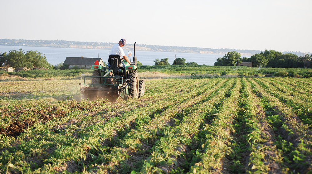 Traktor på en åker i Gammalsvenskby, Ukraina.